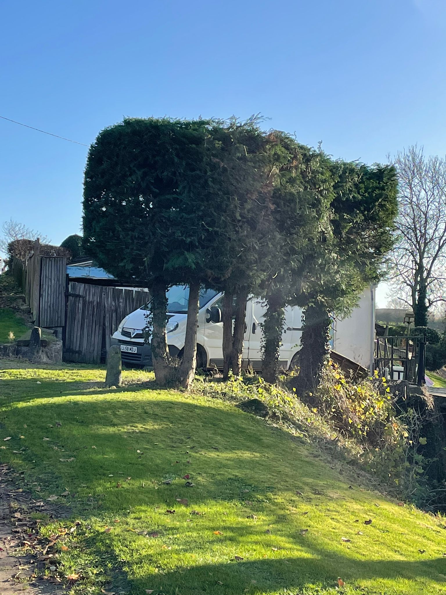 This is a photo of hedge cutting in Nuneaton by Tree Surgeons Nuneaton