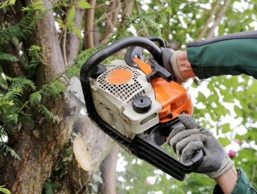 This is a photo of Tree Felling being carried out by Tree Surgeons Rugby