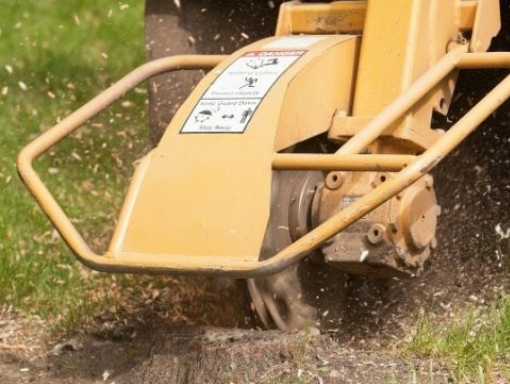 This is a photo of  a machine being used for Stump Grinding. This was carried out by Tree surgeons Nuneaton