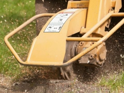 This is a photo of a machine being used for Stump Grinding. This was carried out by Tree surgeons Nuneaton